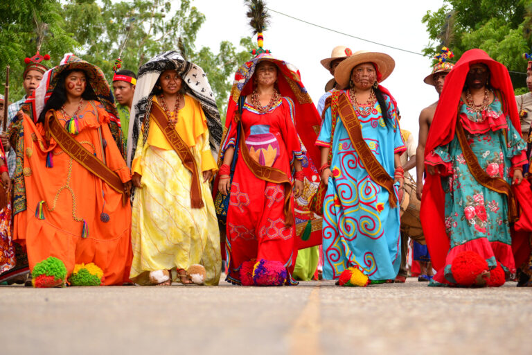 Wayuu